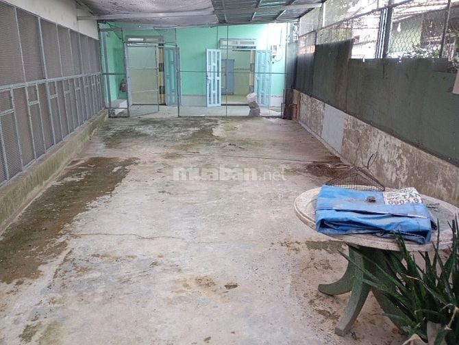 NHÀ NGUYÊN CĂN (7tr5 đến 13tr) - HẺM RỘNG 6M - LÊ ĐỨC THỌ, GÒ VẤP!