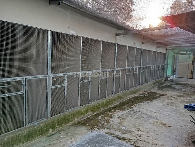 NHÀ NGUYÊN CĂN (7tr5 đến 13tr) - HẺM RỘNG 6M - LÊ ĐỨC THỌ, GÒ VẤP!