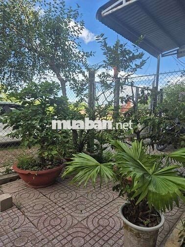 Nhà cho thuê tháng full nội thất