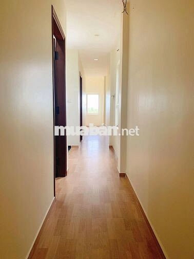 𝐂𝐚̆𝐧 𝐡𝐨̣̂ 𝐜𝐡𝐨 𝐭𝐡𝐮𝐞̂ - 𝟒,𝟐𝐭𝐫 - 𝐜𝐮̛̉𝐚 𝐬𝐨̂̉ 𝐥𝐨̛́𝐧, 𝐭𝐡𝐨𝐚́𝐧𝐠 𝐦𝐚́𝐭