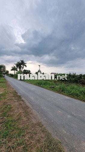 5×36 THỔ 100% MẶT TIỀN NHỰA ,THUẬN TIỆN KINH DOANH ,DÂN CƯ ĐÔNG