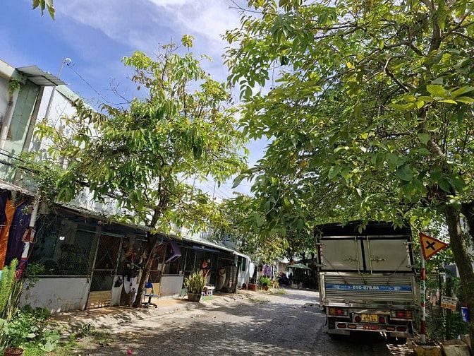 Hạ giá, bán nhà ở + dãy phòng trọ góc 2 MT nhựa 12m,gần Tô Ký