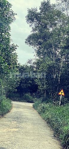 Sang nhượng đất vườn diện tích lớn (1.1ha)