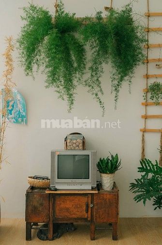 BÁN NHÀ GÓC 2 MẶT TIỀN 150 LÊ ĐỨC THỌ P6 GV VỊ TRÍ VIP PHÙ HỢP KD 