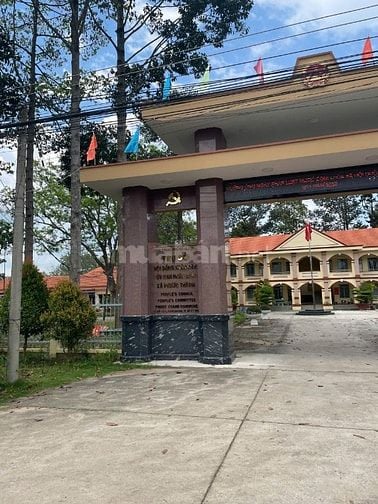 CHỦ GỬI 1000M2 ĐẤT TC CÓ SẴN VƯỜN MÍT ĐANG THU HOẠCH CẠNH CHỢ VÀ UBND 