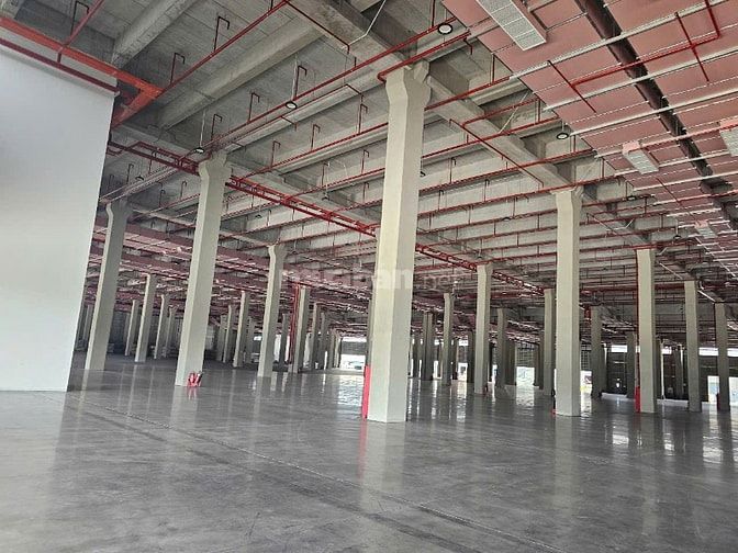 Cho thuê kho 11.500m2 - 24.000m2, KCN Thuận Đạo, Long An, PCCC tự động