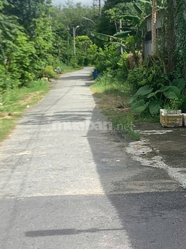 BÁN LÔ ĐẤT MẶT TIỀN ĐƯỜNG 481, NGUYỄN VĂN KHẠ – PHẠM VĂN CỘI, CỦ CHI