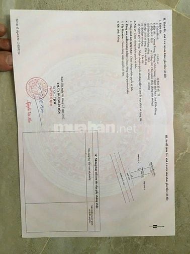 Bán đất thổ cư nhánh Quang Trung - khu giáo viên Ngô Sỹ Liên