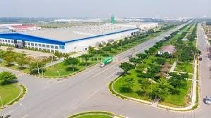 CHỦ GỬI 1000M2 ĐẤT TC CÓ SẴN VƯỜN MÍT ĐANG THU HOẠCH CẠNH CHỢ VÀ UBND 