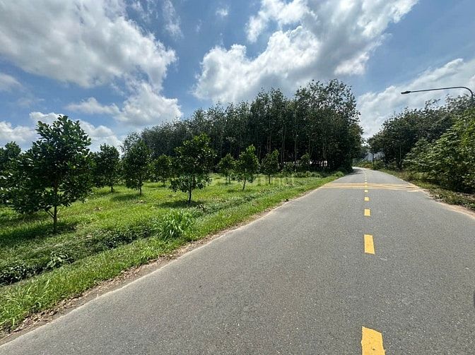 CHỦ GỬI 1000M2 ĐẤT TC CÓ SẴN VƯỜN MÍT ĐANG THU HOẠCH CẠNH CHỢ VÀ UBND 