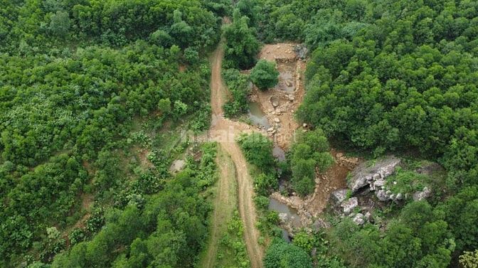 Bán vườn xoài 3,5ha giá rẻ 1,9 tỷ, xe tải tới đất, gần biển Bãi Dài 