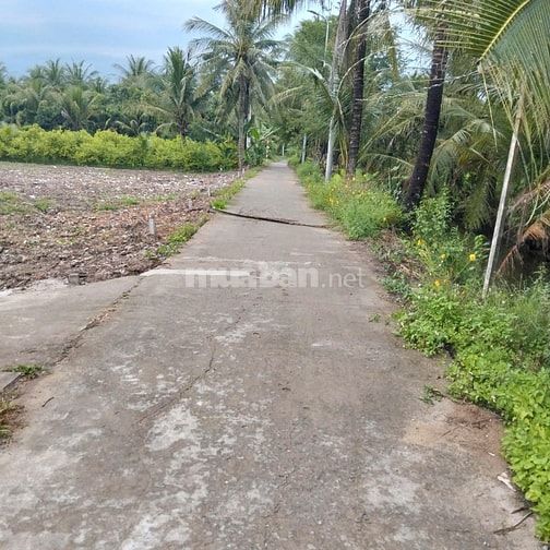 Chỉ 660tr có 141m2 đất thổ cư Mỹ Tho, hẻm ô tô Đoàn Thị Nghiệp, TG