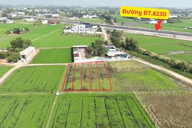 BÁN LÔ ĐẤT FULL THỔ CƯ 1.5T – NGAY TRỤC ĐT.823D – HÒA KHÁNH, TÂY NINH