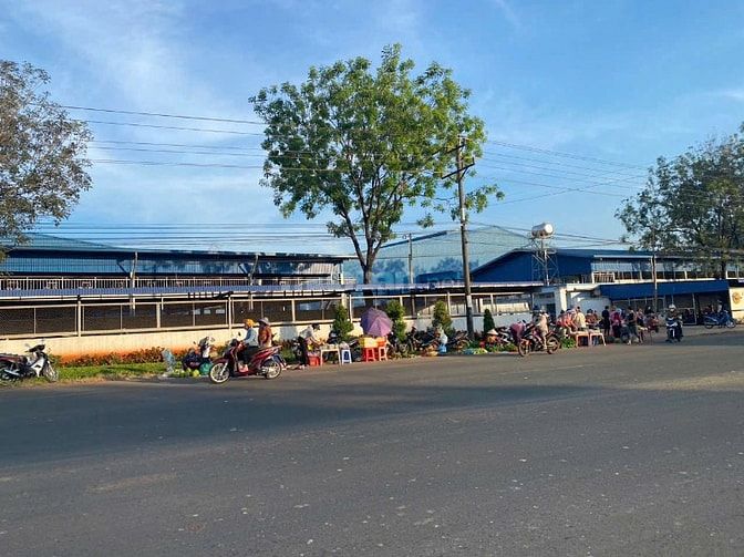 KD THUA LỖ BÁN GẤP 3020M2 ĐẤT SỔ RIÊNG MT THÔNG RA KCN. GIÁ 170TR