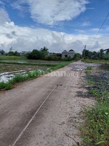 Mặt tiền Trần Văn Trà 19 triệu/m2; mặt tiền Hẻm ô tô Hùng vương 6triệu
