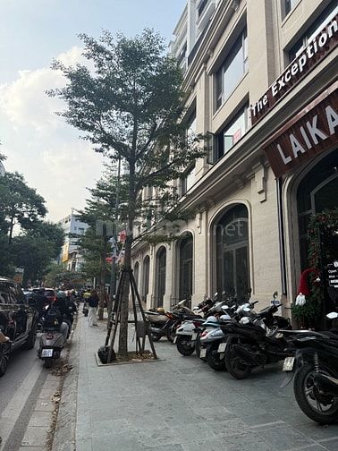 [CHính chủ] tôi cần bán căn Liền Kề, Mp Chùa Láng, dt 120 m, 7T, Mt 5 