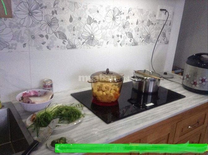Bán Villas 2 mặt tiền đường số 72A đường Thạnh Mỹ Lợi, Quận 2