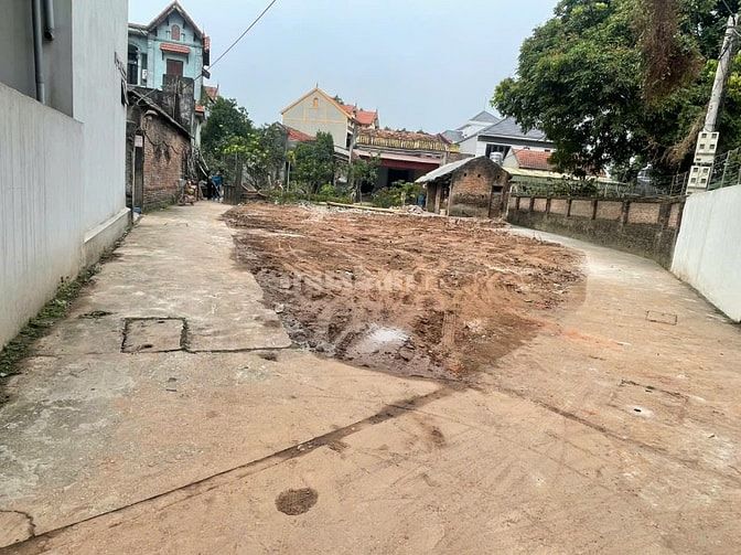 Tài chính 3 tỷ sở hữu ngay lô full thổ cư tại Xuân Quan, Văn Giang