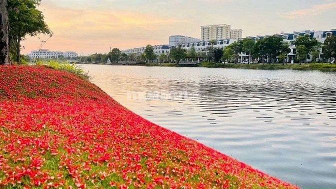 BÁN NHÀ MẶT TIỀN SÔNG GIỒNG ÔNG TỐ – LAKEVIEW AN PHÚ, QUẬN 2
