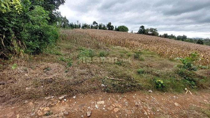 Đất đường Tránh Đông TP BMT 12*49=581m2 giá 950 triệu