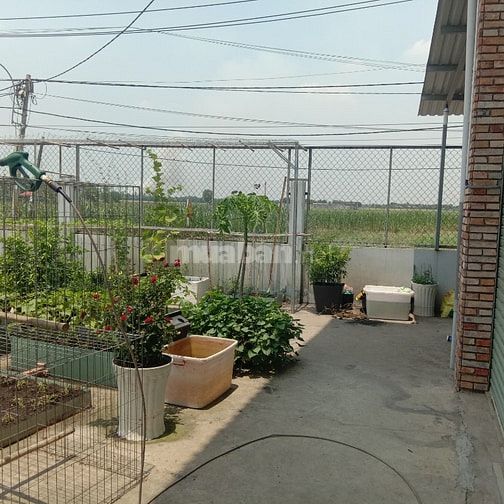 Cho thuê nhà kho mặt tiền đường Nguyễn Thị ly, nhà đẹp thoáng mát, pác