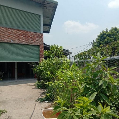 Cho thuê nhà kho mặt tiền đường Nguyễn Thị ly, nhà đẹp thoáng mát, pác