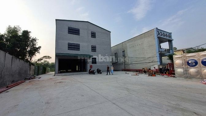 Cho thuê kho xưởng ,KV:  2.000m2, Tỉnh Lộ 10 ,Bình Chánh, PCCC tự động