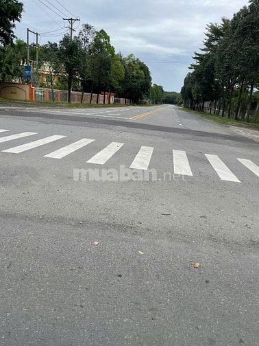 CHÍNH CHỦ GỬI BÁN 1.900M² MẶT TIỀN ĐƯỜNG NHỰA LIÊN HUYỆN 32M – GẦN CHỢ