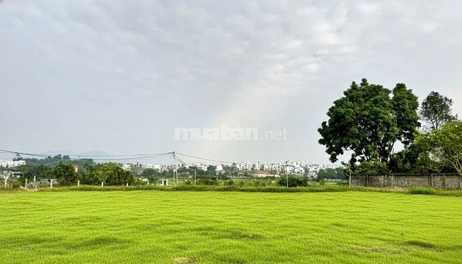 cần bán gấp lô đất vị trí đắc địa gần cổng chính legacy hill