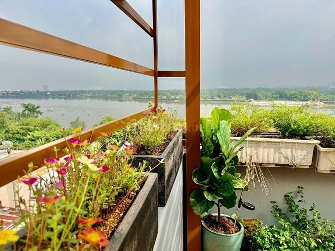 Bán căn hộ dịch vụ khu phố Tây Thảo Điền Quận 2 có nguồn thu ổn định