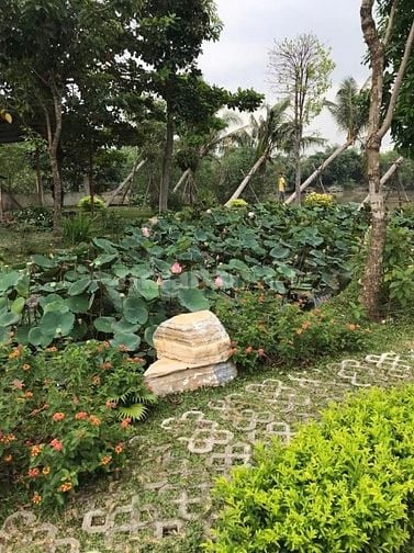 Bán nền đất 6x16m (96m2) đường HTX Bờ Bao QL50 vào 30m