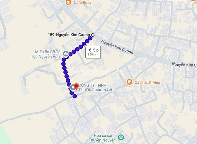 Tôi bán xưởng góc 2 MT đường xe tải 157, Tân Thạnh Đông, Hồ Chí Minh, 