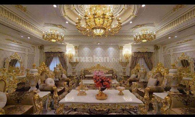 Chính chủ cần bán gấp Dinh Thự 1200m2 1 hầm 5 lầu thang máy.