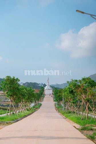 BÁN ĐẤT SINH PHẦN CÔNG VIÊN AN SINH VĨNH HẰNG VIÊN