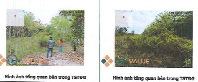 BÁN ĐẤU GIÁ TS VIB TẠI TÂN LẬP, BÌNH PHƯỚC (NAY LÀ ĐỒNG PHÚ, ĐỒNG NAI)