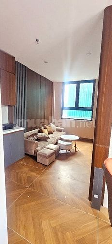 Bán Nhà Trần Khát Chân Hai Bà Trưng 83mx5T ô tô Thang Máy 11 Phòng 