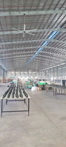 Cho thuê xường KCN đức hòa đông Long An
