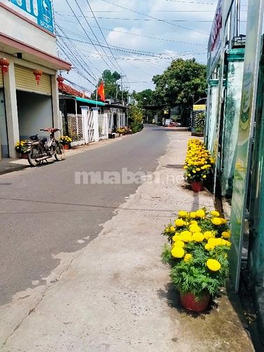 Bán đất đẹp 3 mặt tiền (16x15) TÂN THUẬN TÂY, Cao Lãnh Đồng Tháp 