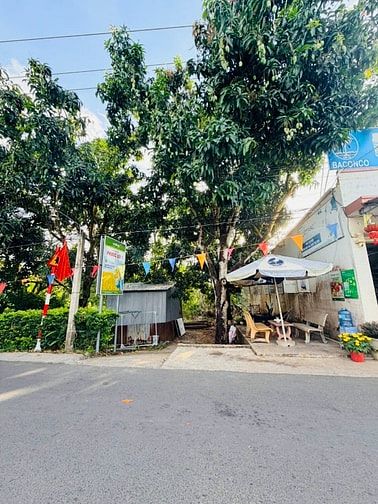 Bán đất đẹp 3 mặt tiền (16x15) TÂN THUẬN TÂY, Cao Lãnh Đồng Tháp 