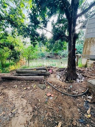 Bán đất đẹp 3 mặt tiền (16x15) TÂN THUẬN TÂY, Cao Lãnh Đồng Tháp 