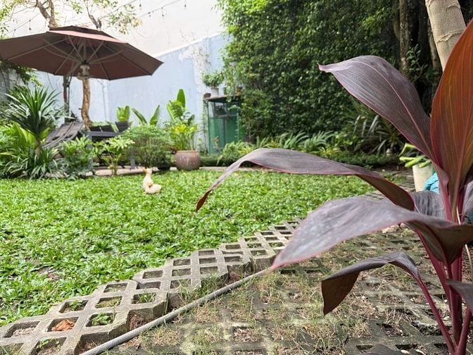 Bán căn hộ dịch vụ 244m2, 118 tỷ, đường số 1, Thảo Điền, Q2, view đẹp,