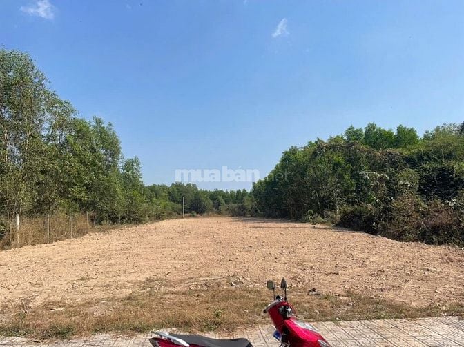 Bán Gấp Đất Đường Lê Hồng Phong Nhơn Trạch Giá Rẻ 