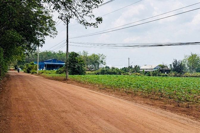Đất thổ cư Hồ Chí Minh, 539 triệu sở hữu ngay