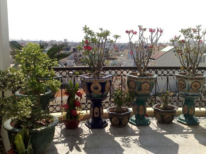 Bán nhà 141m2, 6 lầu, có thang máy, mặt tiền đường Xóm Chiếu.