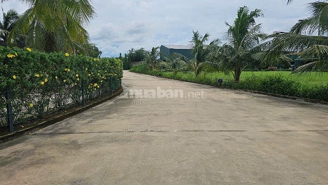CHO THUÊ KHO XƯỞNG 2400M2 BẾN LỨC, LONG AN