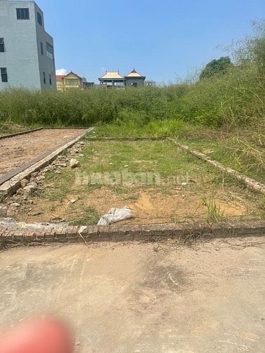 BÁN 48M LÔ ĐẤT SIÊU ĐẸP, GIÁ RẺ TT QUANG MINH, MÊ LINH, HÀ NỘI.