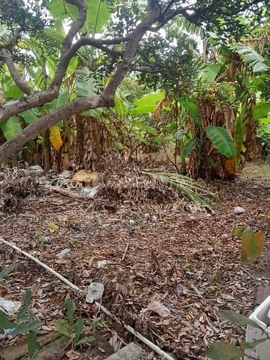 Đất vườn có thổ và nhà cấp 4, MT đường tại biển Tân Thành,Gò Công Đông