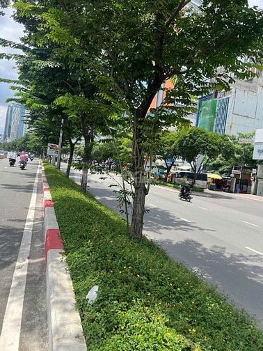 Bán nhà mặt tiền Điện Biên Phủ ngay trường ĐH Hồng Bàng 1T2L giá 23ty9