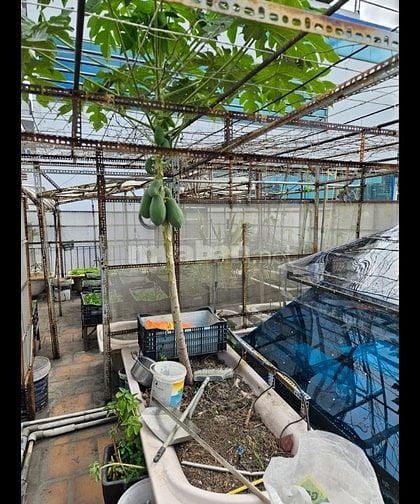 Bán nhà HXH 83/3 P2 Bạch Đằng ngay sân bay 6 tầng 6x15m chỉ 22 tỷ.