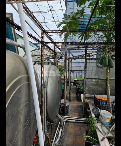 Bán nhà HXH 83/3 P2 Bạch Đằng ngay sân bay 6 tầng 6x15m chỉ 22 tỷ.